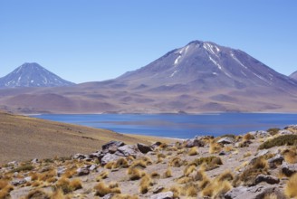 Laguna Miscanti, Los Flamencos Reserve National, Atacama Desert, Region of Antofagasta, Santiago,