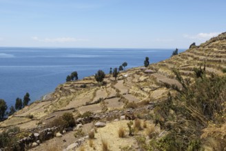 Isla Taquile - Lago Titicaca - Perú ATENÇÃO: NÃO PODEMOS REPRESENTAR ESSA IMAGEM FORA DA AMERICA