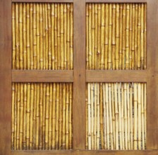 Bamboo, Barra do Una, Peruíbe, São Paulo, Brazil