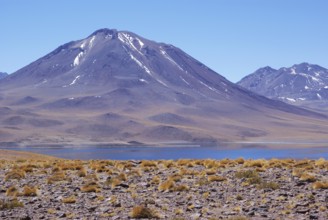 Laguna Miscanti, Los Flamencos Reserve National, Atacama Desert, Region of Antofagasta, Santiago,