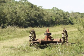 Gear, tool, Pantanal, Mato Grosso do Sul, Brazil