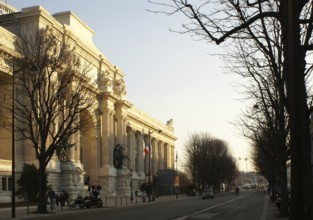 Petit Palais, Winston Churchill Avenue, 8° arrondissement, Ile-de-France, Paris, France