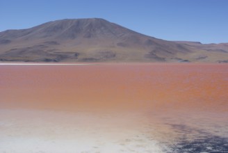 Laguna Colorada, Reserves national of Andean fauna Eduardo Abaroa, Desert of Lipez, Department of