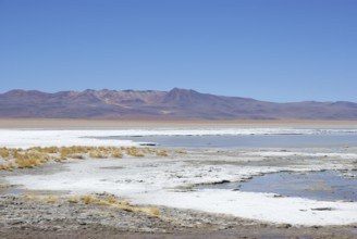 Estacion termale, Reserva nacional de fauna andina Eduardo Abaroa, Deserto do Lipez, Departamento