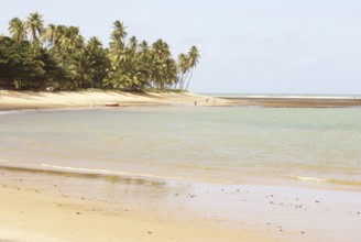 Landscape, Praia do Forte, Bahia, Brazil