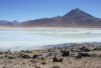 Laguna Blanca, Reserves national of Andean fauna Eduardo Abaroa, Desert of Lipez, Department of