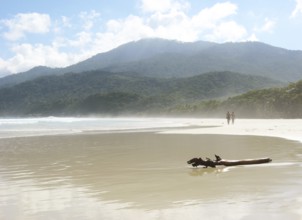 Landscape, Lopes Mendes Beach, Ilha Grande, Rio de Janeiro, Brazil