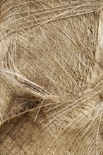 Straw, Barra do Una, Peruíbe, São Paulo, Brazil