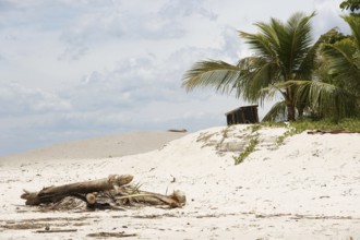 Dune, Barra do Una, Peruíbe, São Paulo, Brazil