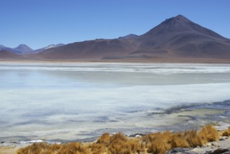 Laguna Blanca, Reserves national of Andean fauna Eduardo Abaroa, Desert of Lipez, Department of