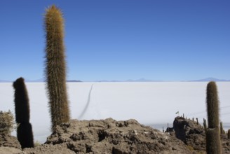 Salar of Uyuni, Desert of Lipez, Department of Potosi, Sud Lipez Province, La Paz, Bolívia