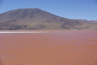 Laguna Colorada, Reserves national of Andean fauna Eduardo Abaroa, Desert of Lipez, Department of