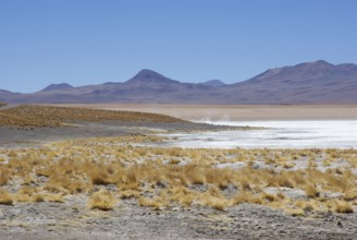 Estacion termale, Reserva nacional de fauna andina Eduardo Abaroa, Deserto do Lipez, Departamento