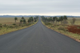 Highway, Landscape, Bonito, Mato Grosso do Sul, Brazil