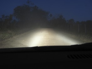 Landscape, Highway, Bonito, Mato Grosso do Sul, Brazil