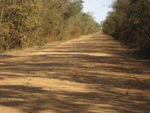 Dirt road, Bonito, Mato Grosso do Sul, Brazil