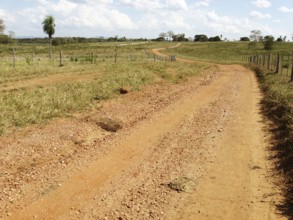 Dirt road, Pantanal, Mato Grosso do Sul, Brazil