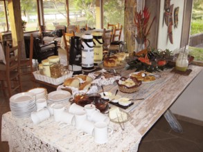 Breakfast, Pantanal, Mato Grosso do Sul, Brazil