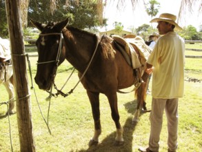 People, Animal, Horse, Pantanal, Mato Grosso do Sul, Brazil