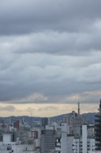 People, man, swinging, building, São Paulo, Brazil