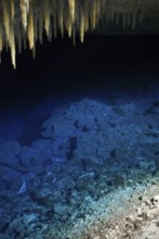Grotto of the Lake Blue, Bonito, Mato Grosso do Sul, Brazil