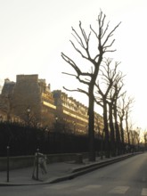 Boulevard Pereire, 17° arrondissement, Ile-de-France, Paris, France