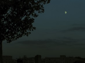 Boulogne-Billancourt, Hauts-de-Seine, Ile-de-France, France