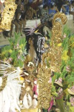 Carnival 2009, School of Samba Mangueira, Rio de Janeiro, Brazil