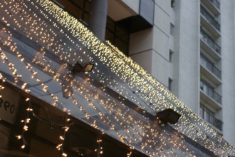 Volkswagen bug, Street, City, Capital, São Paulo, Brazil