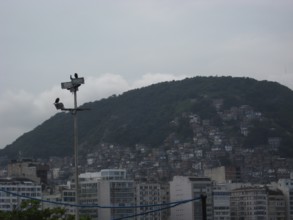 Slums, hill, City, Rio de Janeiro, Brazil