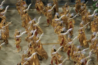 Carnival 2009, School of Samba Portela, Rio de Janeiro, Brazil