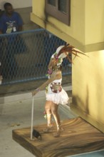 Carnival 2009, School of Samba Viradouro, Rio de Janeiro, Brazil