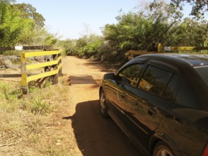 Dirt road, Pantanal, Mato Grosso do Sul, Brazil