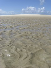 Beach, Dunes, São Paulo Hill, Salvador, Bahia, Brazil