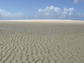 Beach, Dunes, São Paulo Hill, Salvador, Bahia, Brazil