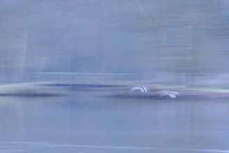 Park, Landscape, Essonne (91), France