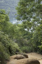 Landscape, Motorboat, Ilha Grande, Rio de Janeiro, Brazil