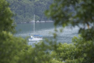 Landscape, Motorboat, Ilha Grande, Rio de Janeiro, Brazil