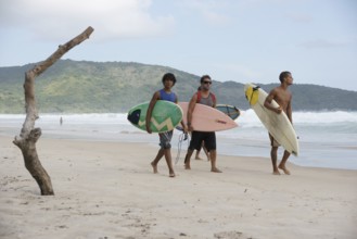 Beach, Nature, Ilha Grande, Rio de Janeiro, Brazil