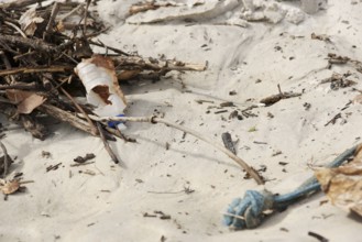 Sand, Dirt, Ilha Grande, Rio de Janeiro, Brazil