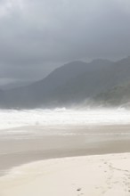 Beach, Nature, Ilha Grande, Rio de Janeiro, Brazil