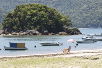 Beach, Nature, Ilha Grande, Rio de Janeiro, Brazil