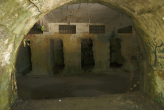 Tunnel, Ilha Grande, Rio de Janeiro, Brazil