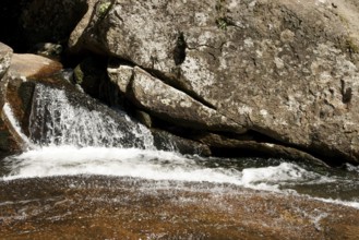 Nature, Water, Ilha Grande, Rio de Janeiro, Brazil