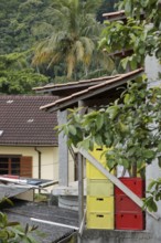 House, Nature, Ilha Grande, Rio de Janeiro, Brazil