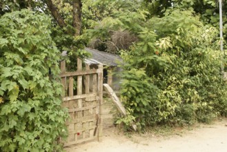 Gate, Plants, Ilha Grande, Rio de Janeiro, Brazil