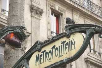 Plate, Place Saint-Michel, 6ème arrondissement, (75006), Paris, France