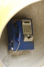 Big ear, North coast, Camburi, São Paulo, Brazil