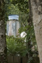 Box of water, North coast, Camburi, São Paulo, Brazil