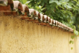 Wall, Tiles, North coast, Camburi, São Paulo, Brazil